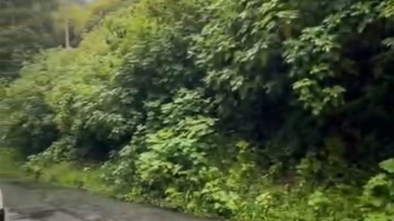 Rua José Pulhiese no Bairro Nossa Senhora Aparecida recebe atenção da Prefeitura