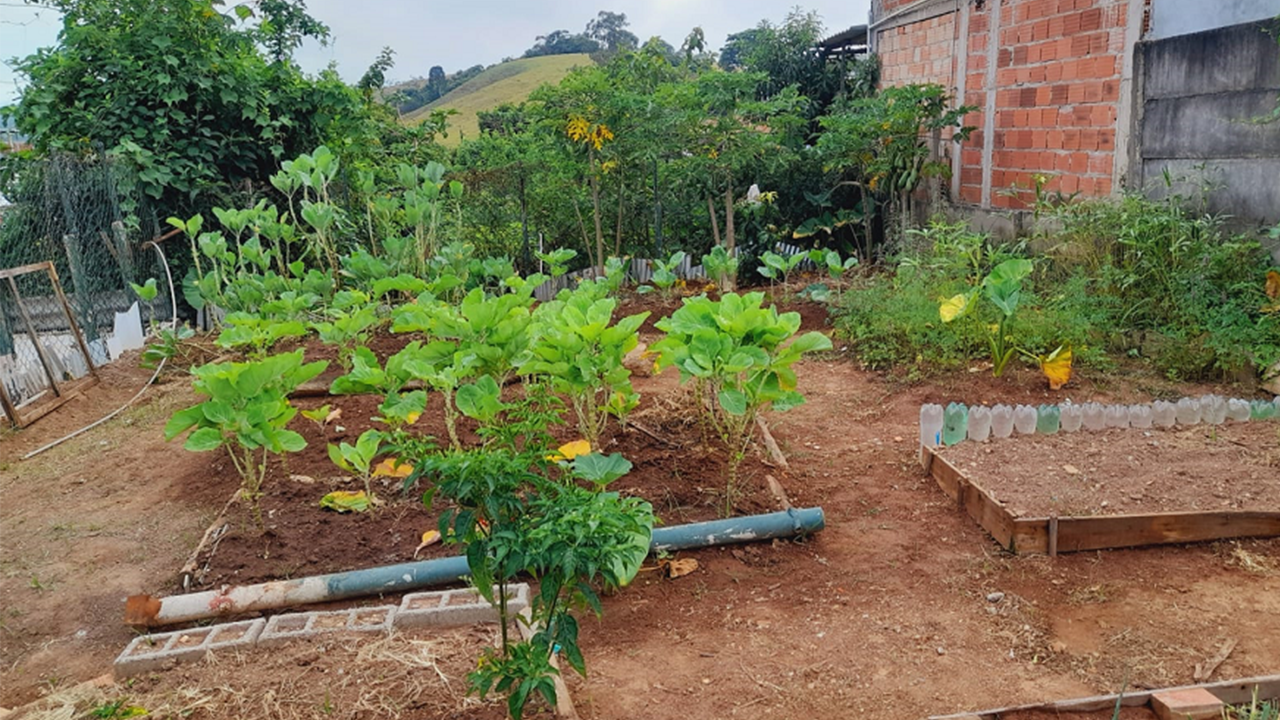 Sec. de Agricultura e Sec. de Educação iniciam levantamento das escolas que possuem horta