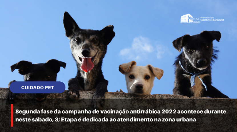 Segunda fase da campanha de vacinação antirrábica 2022 acontece durante neste sábado, 3; Etapa é dedicada ao atendimento na zona urbana