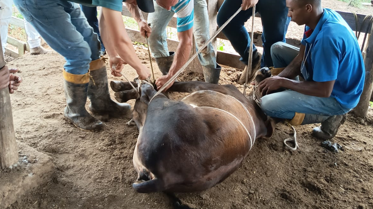 Curso de Cria e Recria de Bezerras aconteceu de 26 a 28/03. Treze participantes