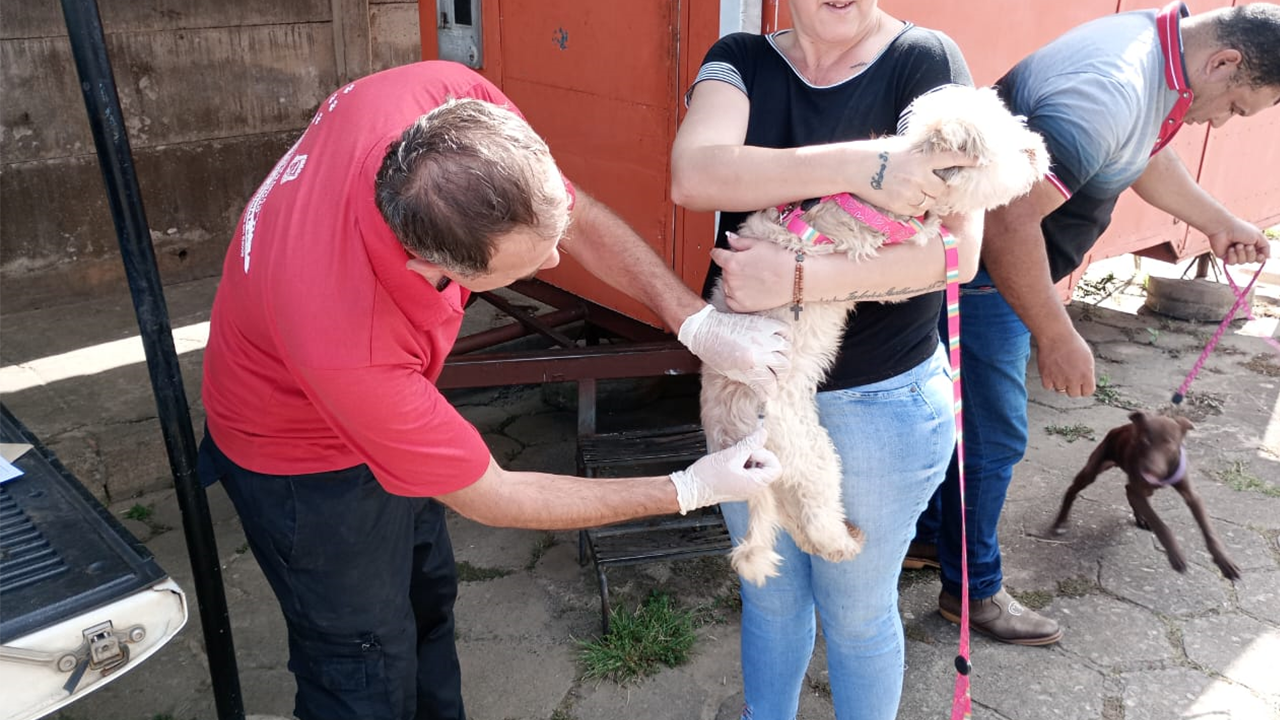 Dia 3 e 4/10 Campanha de Vacinação Antirrábica Animal 2ª DOSE. Leve seu bichinho de estimação!